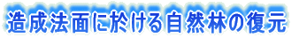 造成法面に於ける自然林の復元