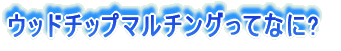 ウッドチップマルチングってなに?