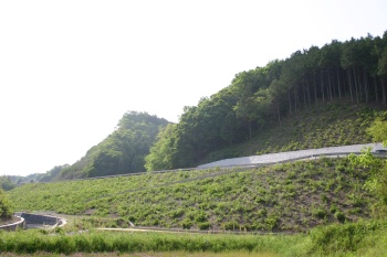 地場産業育成モデル工事写真3