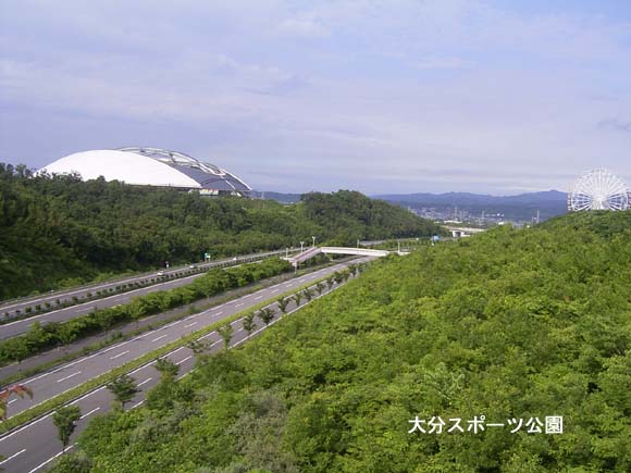 自然林復元の大分スポーツ公園